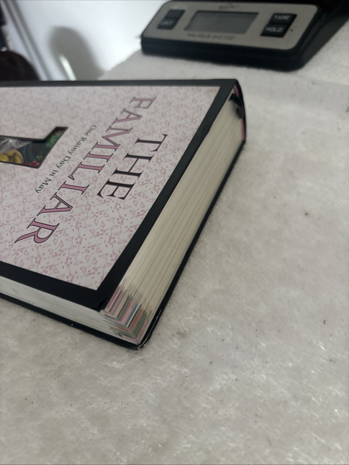 The Familiar, Volume 1: One Rainy Day in May by Mark Z Danielewski