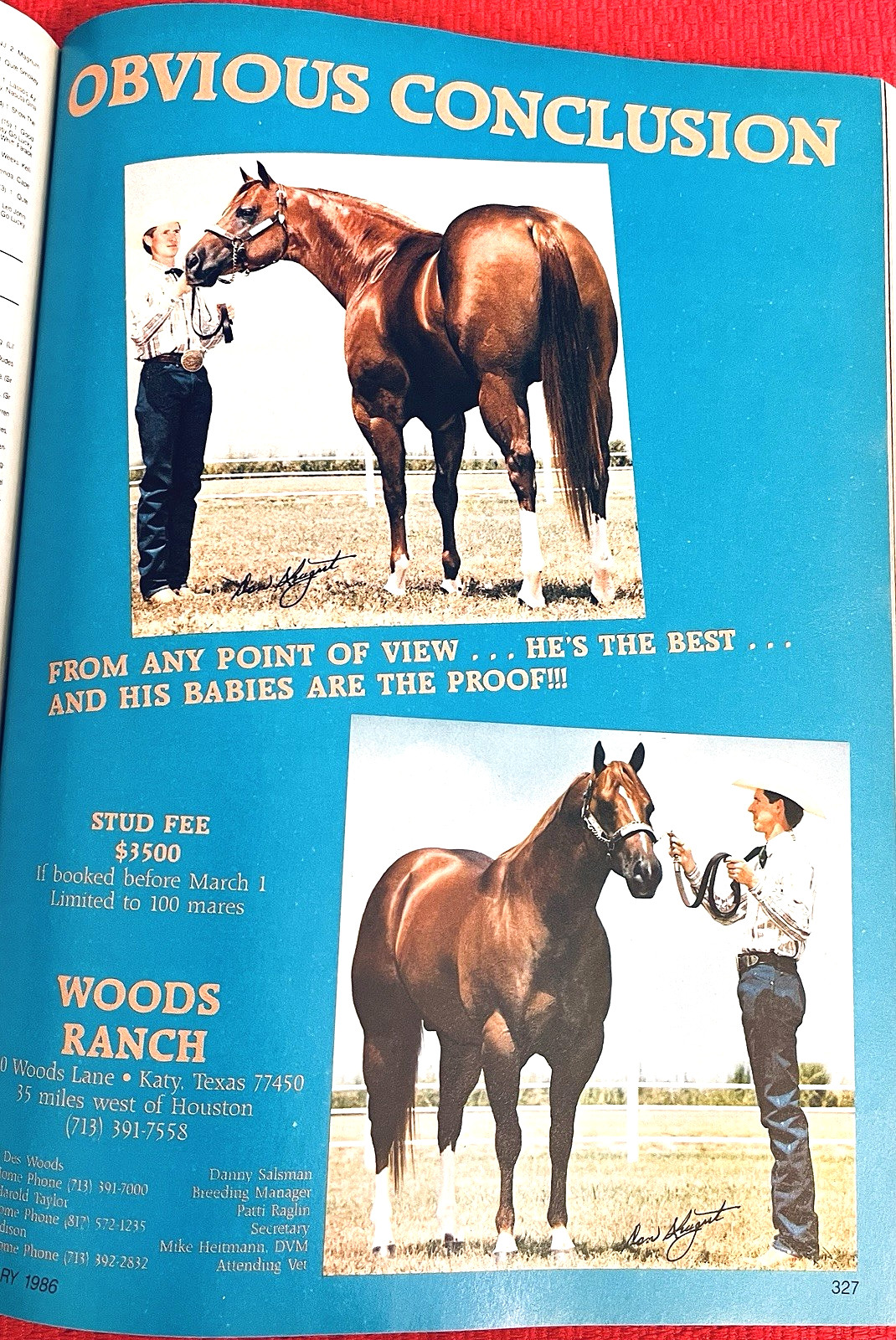 SALE ENDS 6/15! 1986 QUARTER HORSE JOURNAL Book – DYNAMIC DELUXE, ZAN PARR BAR