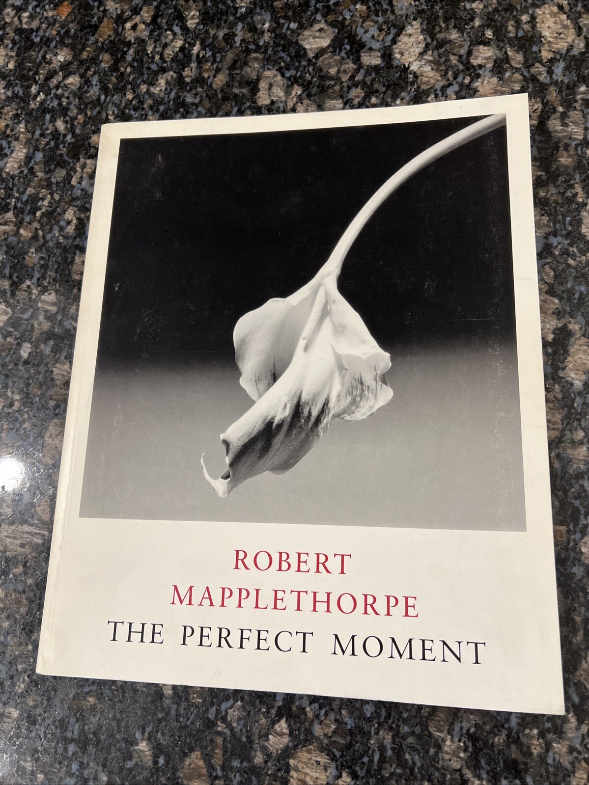 Robert Mapplethorpe: The Perfect Moment 2nd Edition 1989