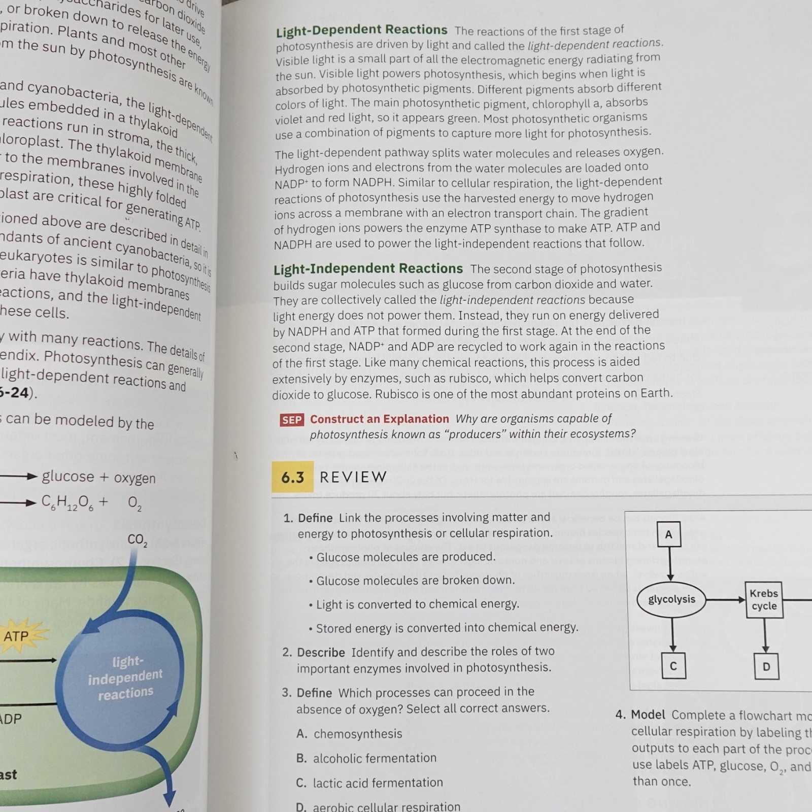 National Geographic Biology Student Edition Cengage 2024 Hardcover