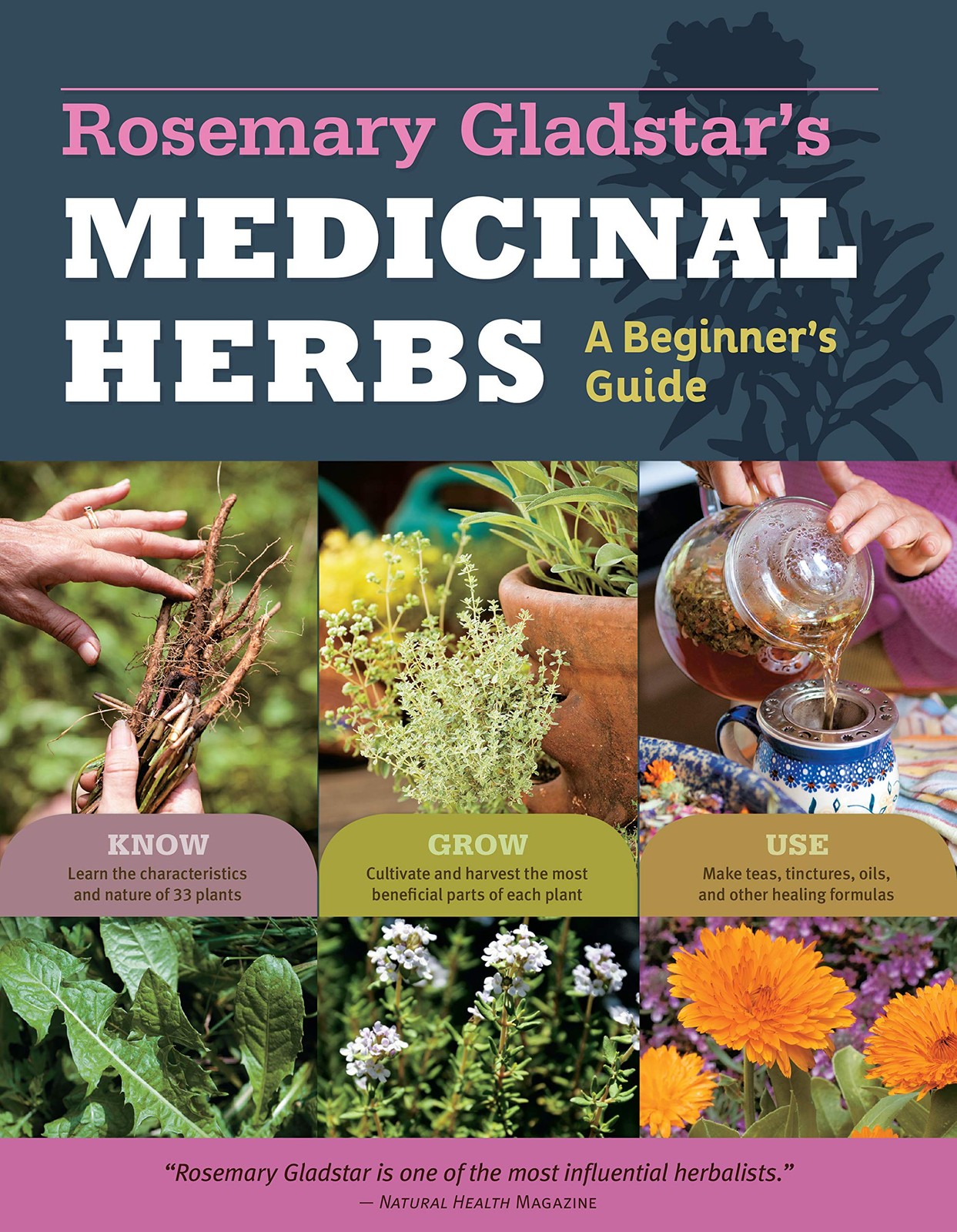 Rosemary Gladstar: A Beginner’s Guide to 33 Healing Herbs – Cultivate & Utilize