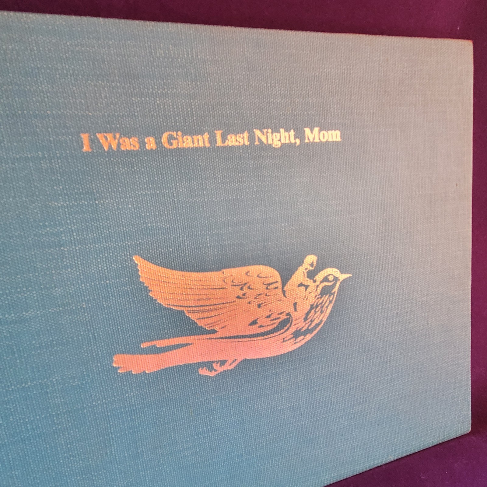 SIGNED Hardcover Children’s Book, I Was a Giant Last Night, Mom by Ken Carter