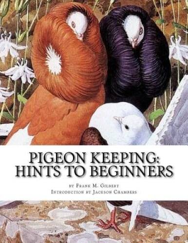 Pigeon Keeping: Hints To Beginners – Paperback By Gilbert, Frank M – VERY GOOD