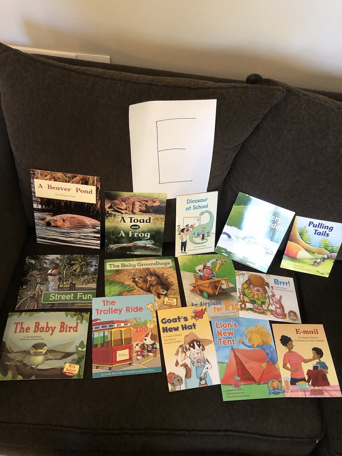 First Grade Reading Books — HOME SCHOOL — Grade 1 Like New 10 Different $15