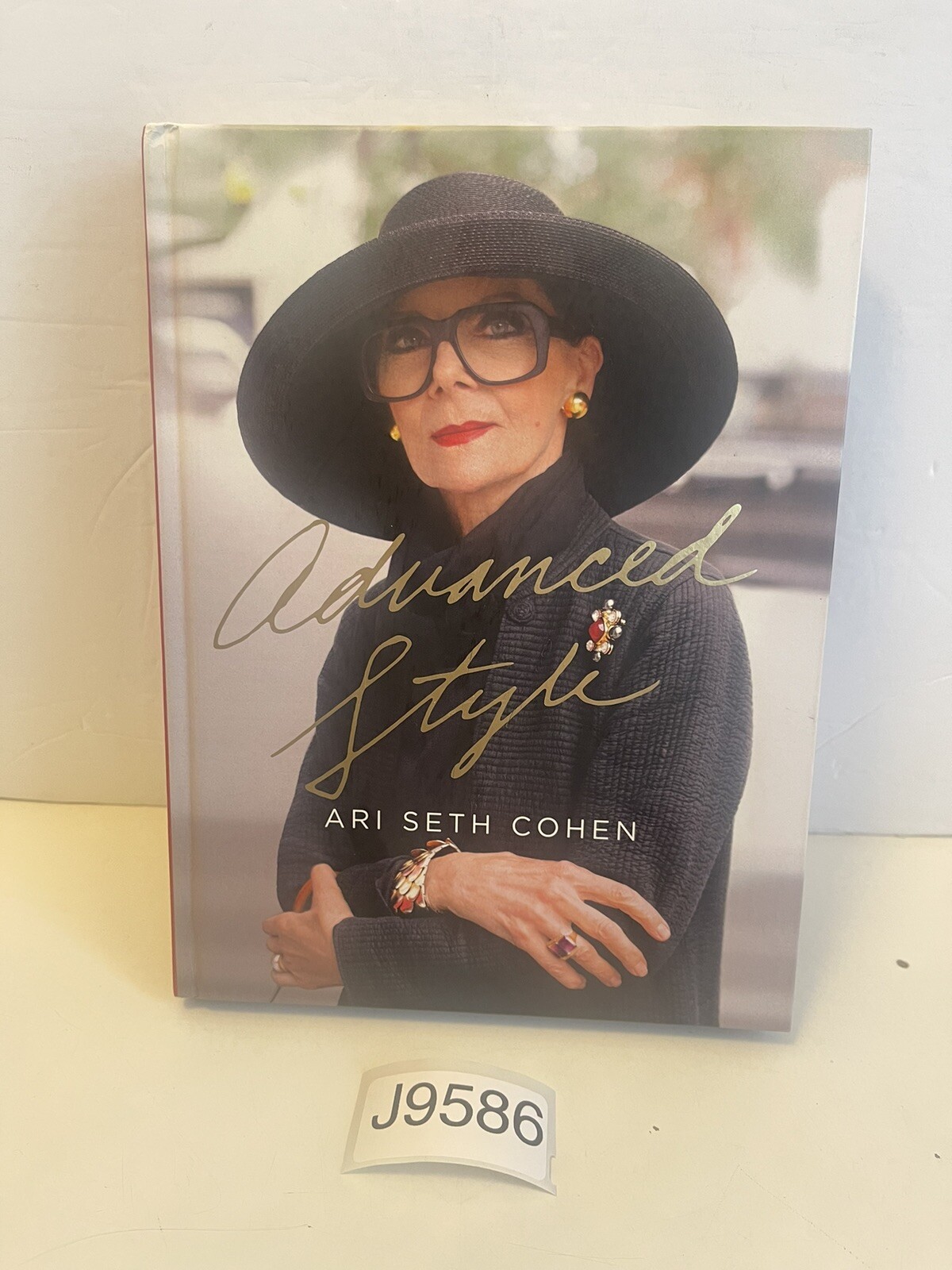 Advanced Style by Ari Seth Cohen (2012, Hardcover First Edition)