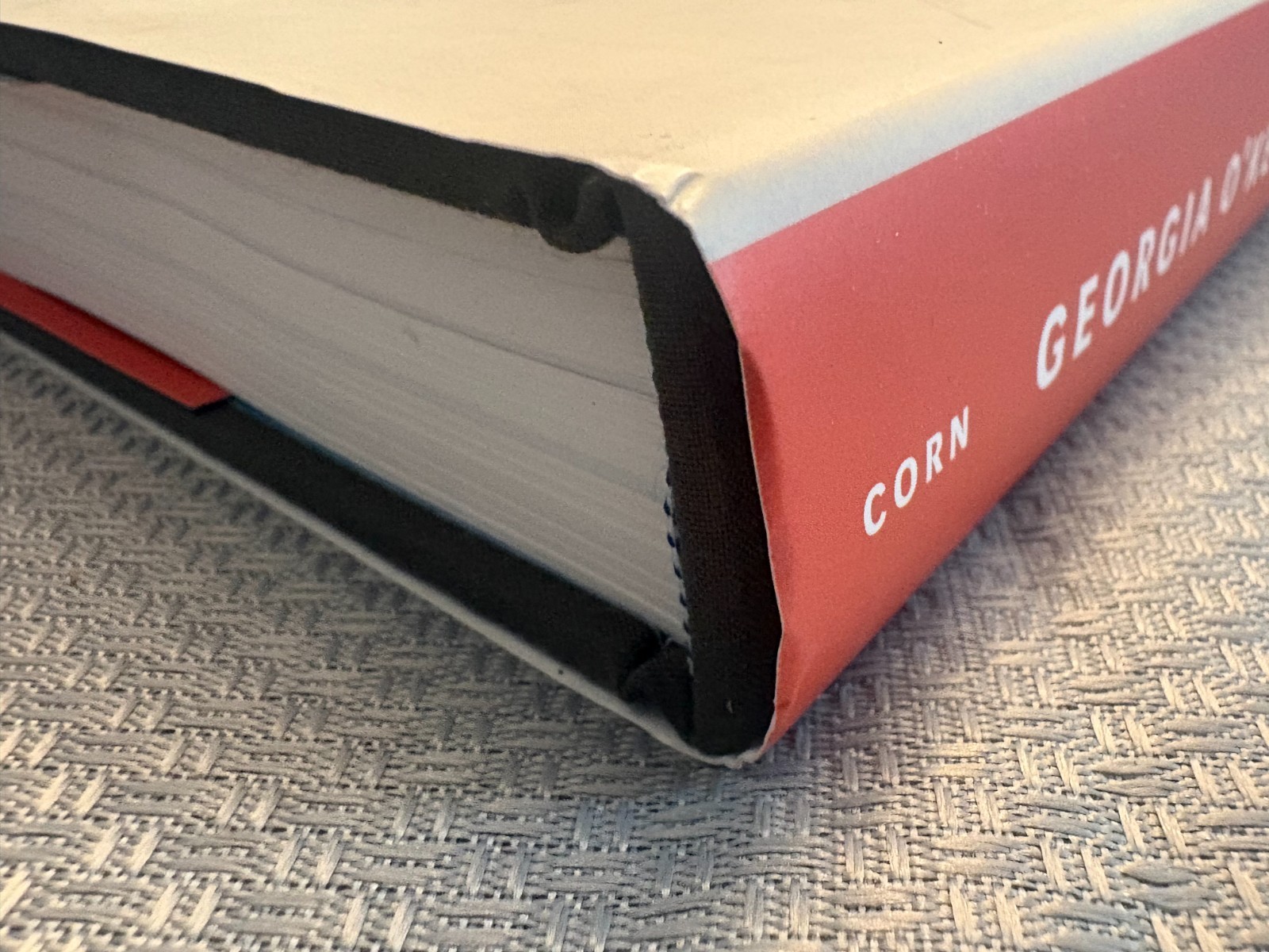 Georgia O’Keeffe: Living Modern by Wanda Corn HC/DJ 2017