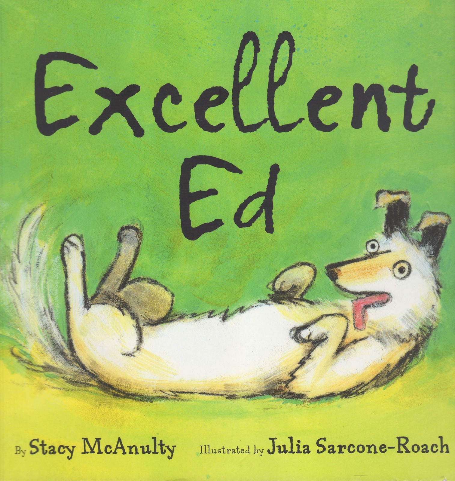 Excellent Ed – paperback Julia Sarcone-Roach|Stacy McAnulty