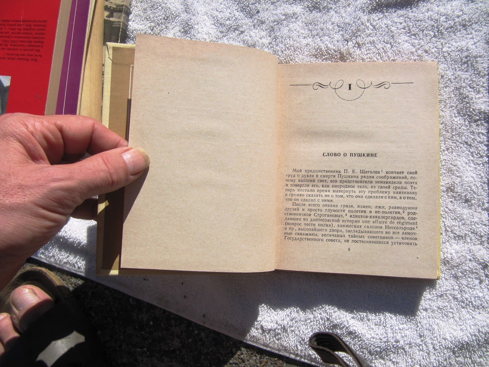 RUSSIAN Anna Akhmatova ABOUT PUSHKIN 200th Birthday O Pushkine Stati i zametki