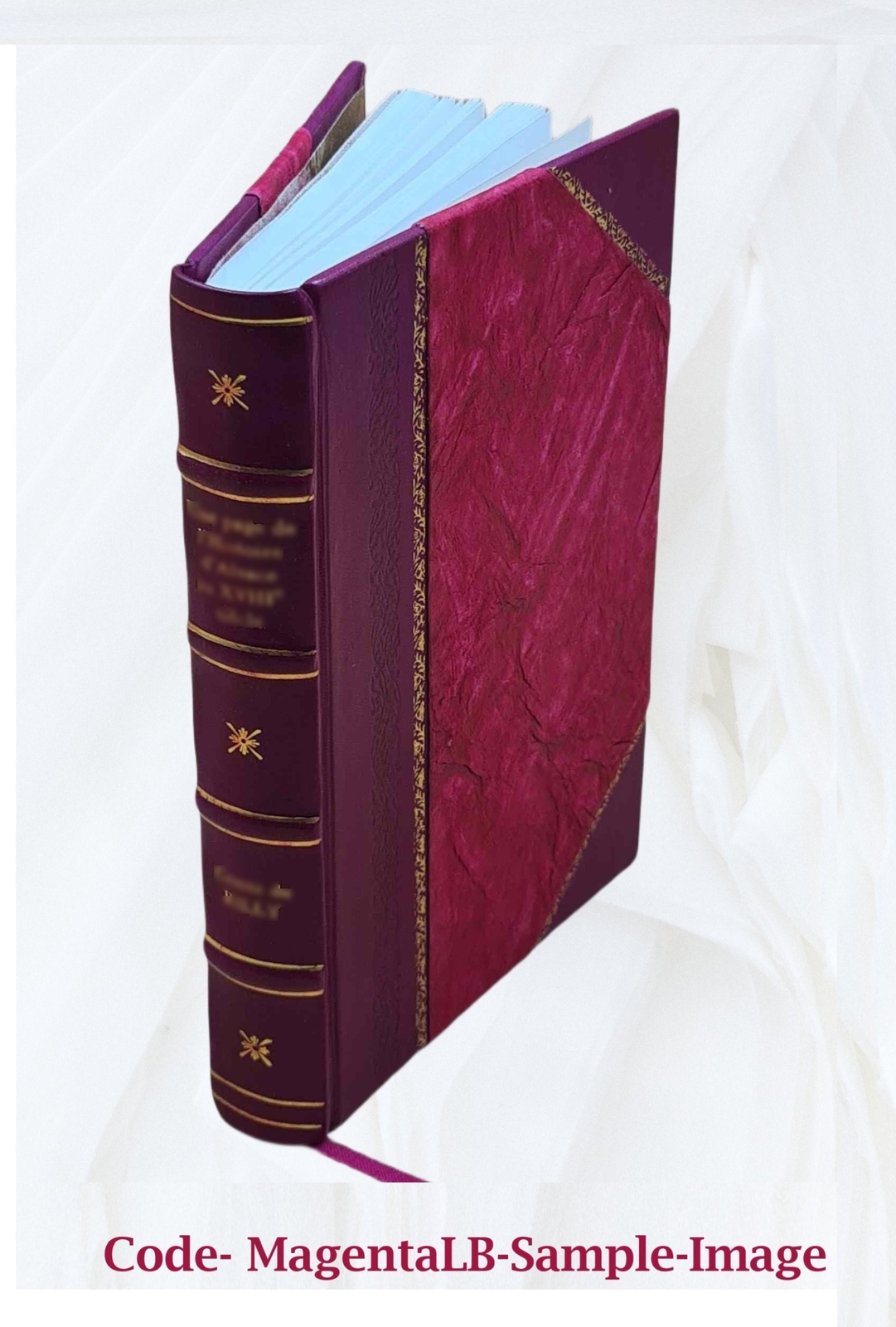The last man / by Mary W. Shelly. v. 2. V. 2 1833 [Leather Bound]