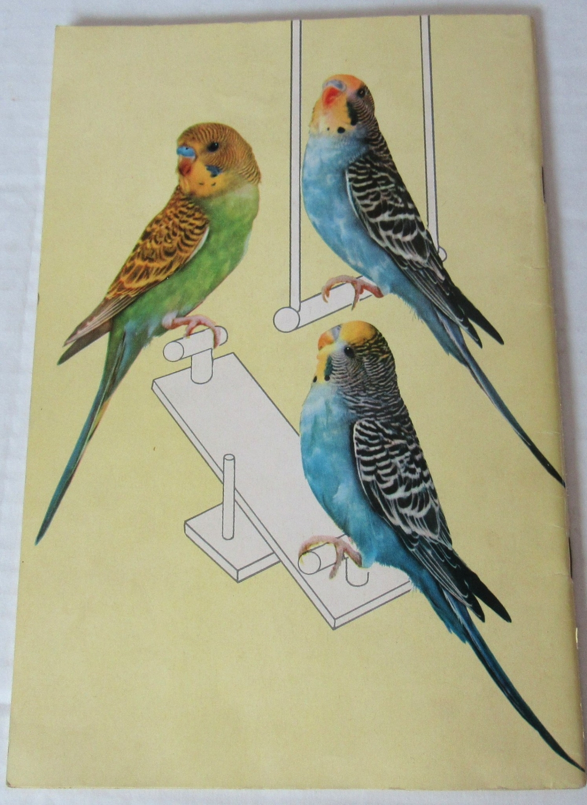1953 EVERYTHING ABOUT PARAKEETS BUDGIES HARTZ MANUAL HEALTH TRAINING TALKING USA