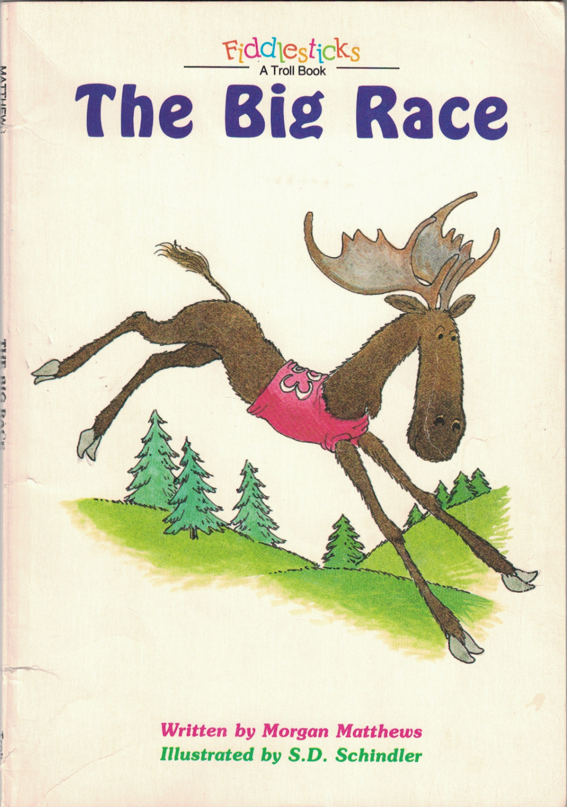 THE BIG RACE by Morgan Matthews / S.D. Schindler – FIDDLESTICKS 1989 Troll Book
