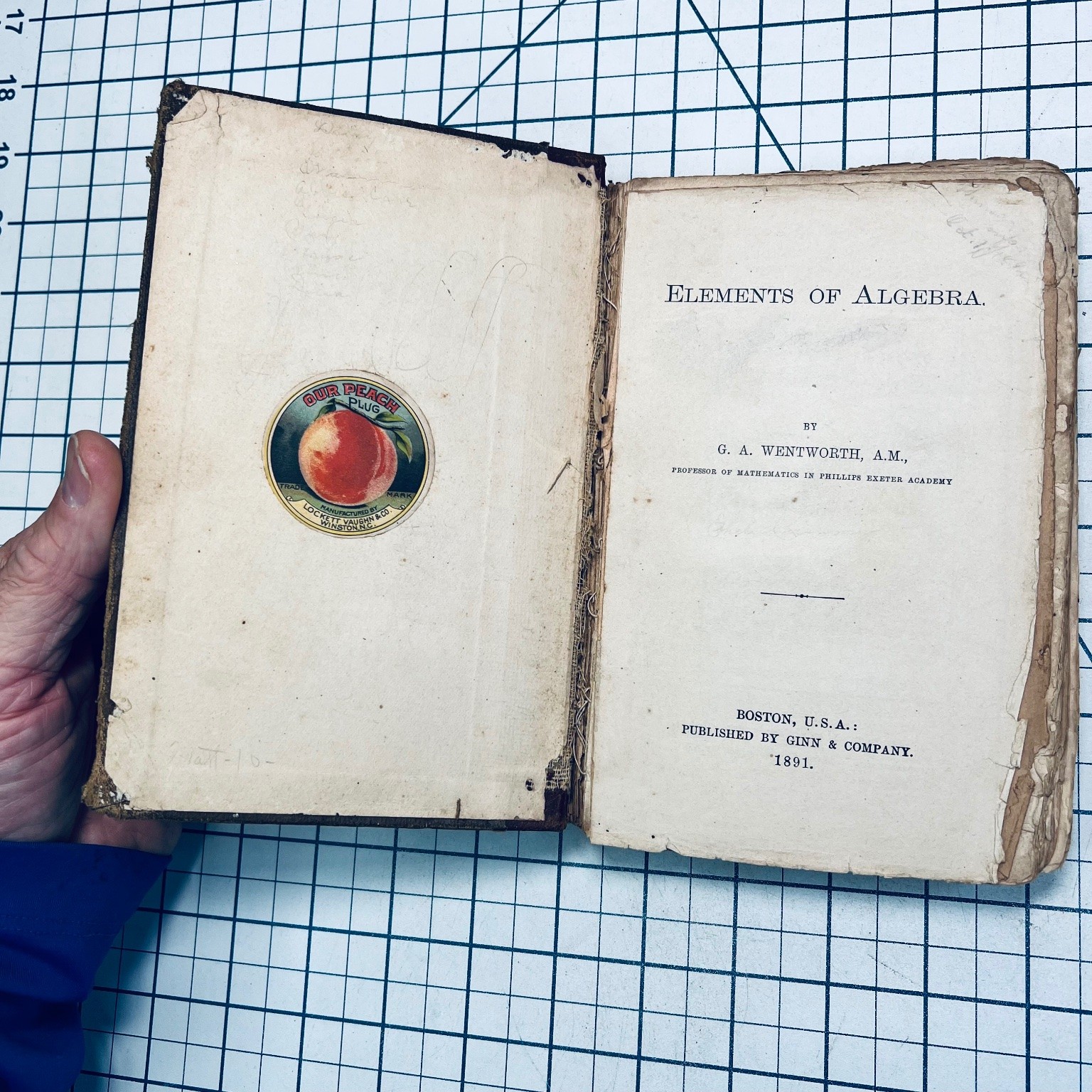 Elements of Algebra Wentworth 1891 Vintage Math Winston North Carolina peaches