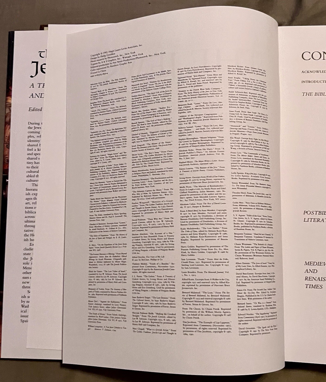 The Jews : A Treasury of Art and Literature (1992, Hardcover)