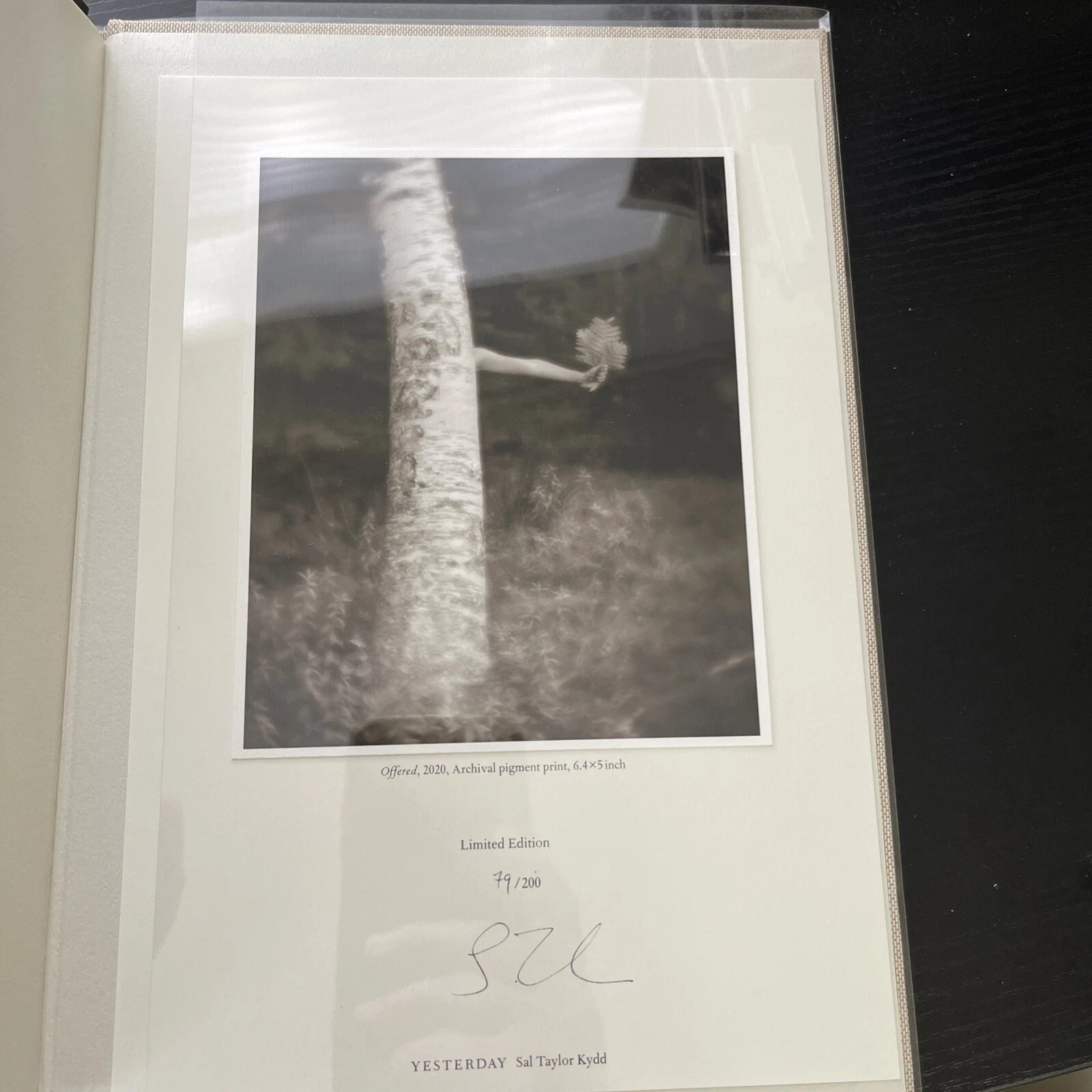 Sal Taylor Kydd Special/Limited Edition 79/200 Rare 1st ed “Yesterday” **Signed*