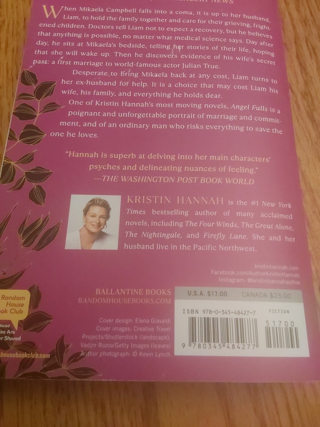 Angel Falls : A Novel by Kristin Hannah (2005, Trade Paperback)