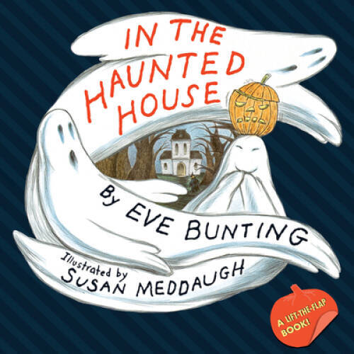 In the Haunted House Touch & Feel Lift-the-Flap Book – Paperback – GOOD