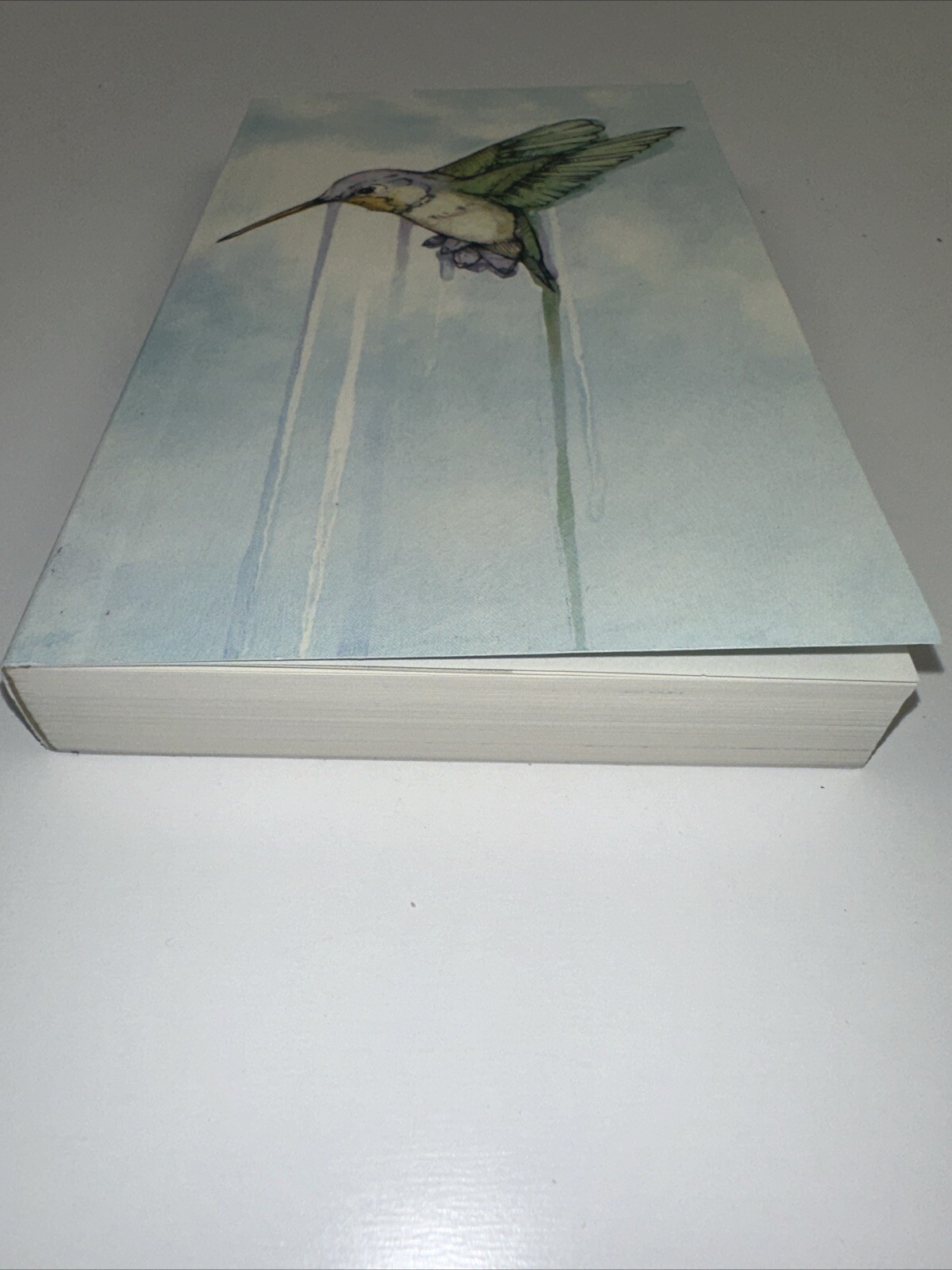 Hummingbird: Essays [Genuine Rare Bird Book] by Angelini, Jude paperback Book
