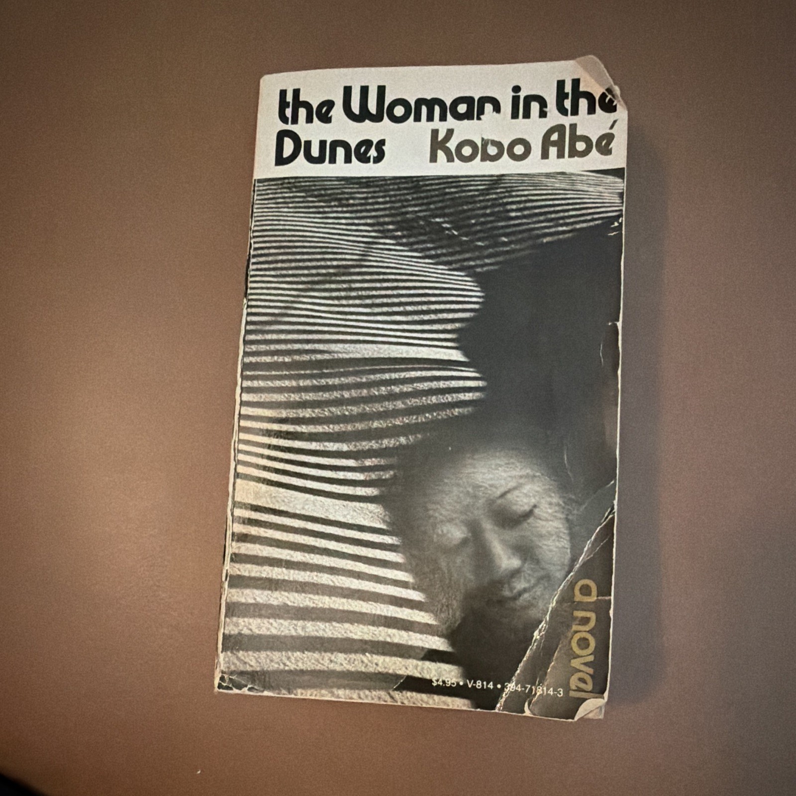 Kobo Abe The Woman in the Dunes Vintage Books PB 1972 Translated Illustrated
