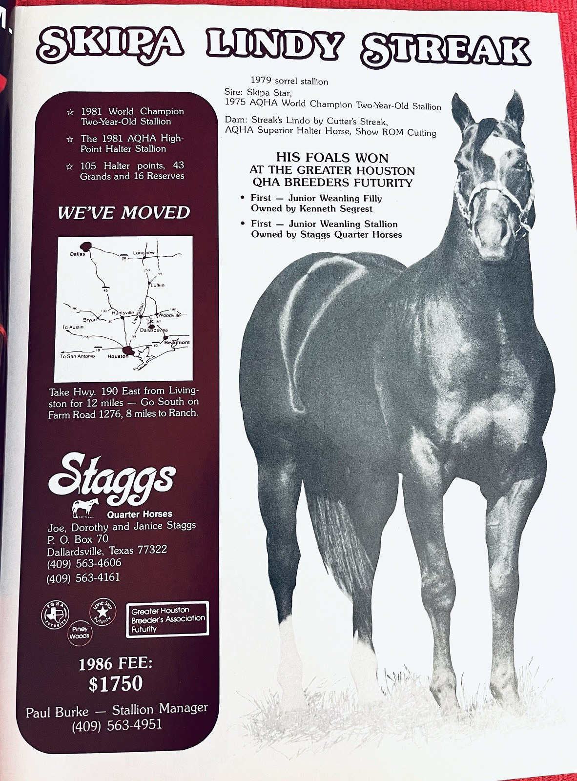 SALE ENDS 6/15! 1986 QUARTER HORSE JOURNAL Book – DYNAMIC DELUXE, ZAN PARR BAR
