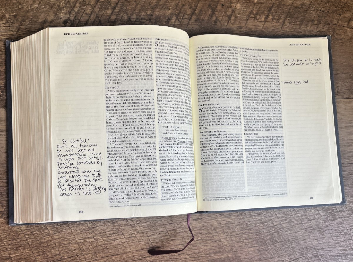2016 HOLY BIBLE, Juornaling Bible, ESV, Crossway, Blue Flora Cloth, GOOD