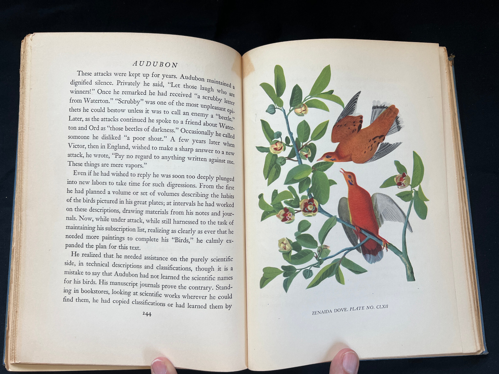 Audubon by Constance Rourke Hardcover Book Harcourt, Brace and Company – 1936