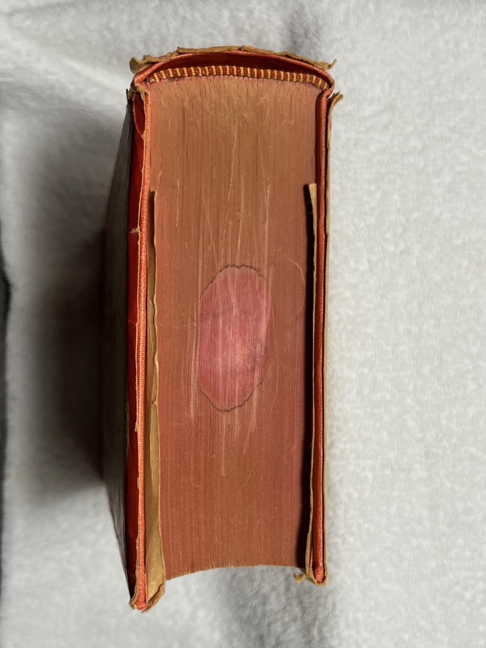 COMPLETE WORKS OF LEWIS CARROLL John Tenniel Drawings Alexander Woollcott 1939