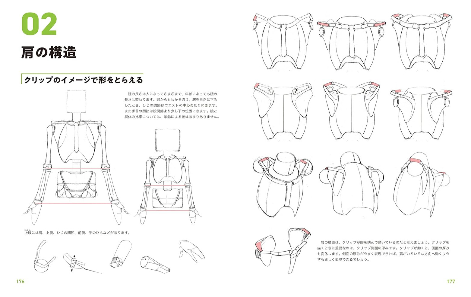 Master Guide to Drawing the Human Body – Character Drawing from the Basics #1434