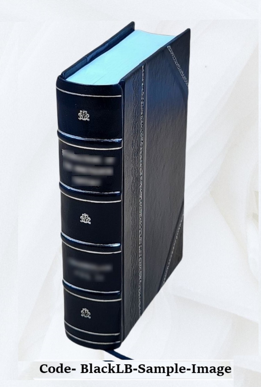 History Of The Ruthrauffs, 1560-1925 / By Mary Ruthrauff Hoover. [Leather Bound]