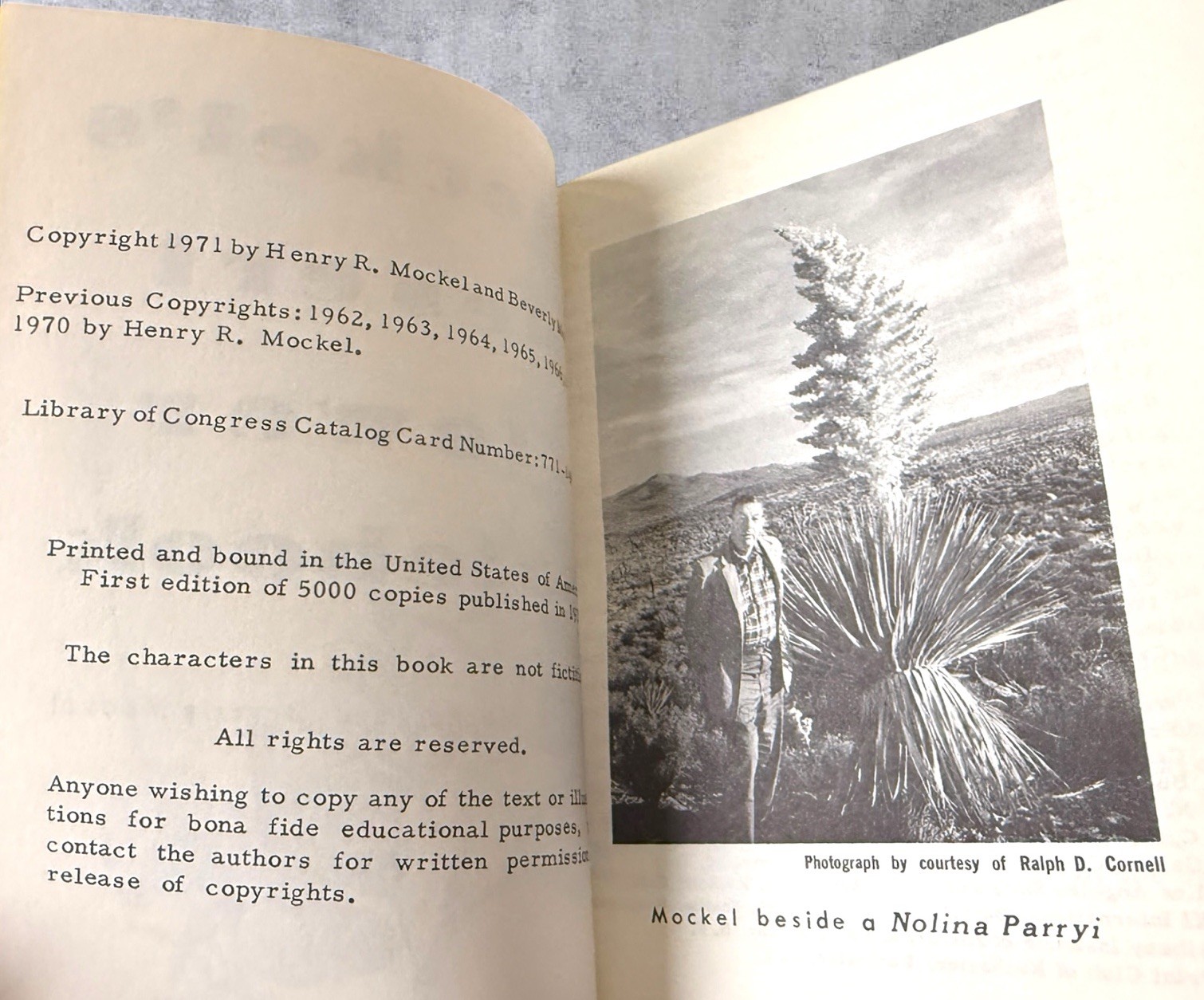Mockels Desert Flower Notebook Henry Beverly Mockel Paperback 1971
