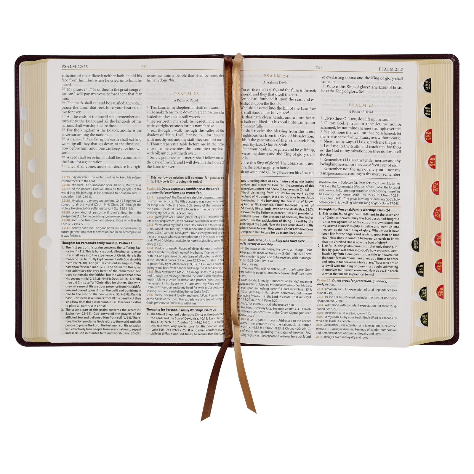 KJV Study Bible Large Print Thumb Indexed 2 Ribbons BRAND NEW in Shrink Wrap!!!