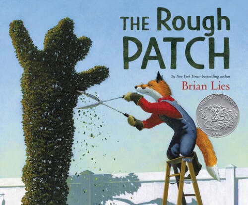 The Rough Patch – Hardcover By Lies, Brian – VERY GOOD