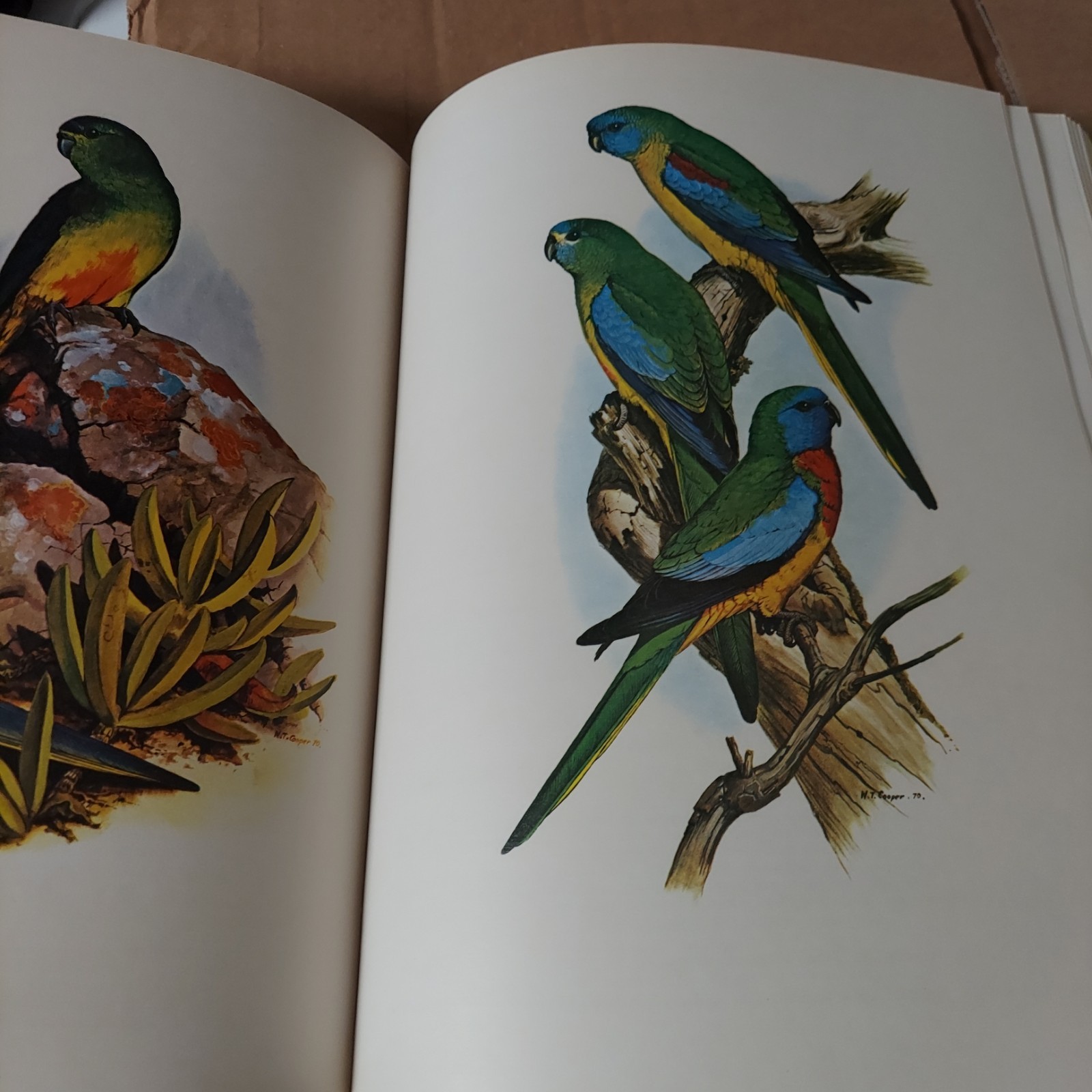 Parrots of the World – Hardcover By Forshaw, Joseph – VERY GOOD