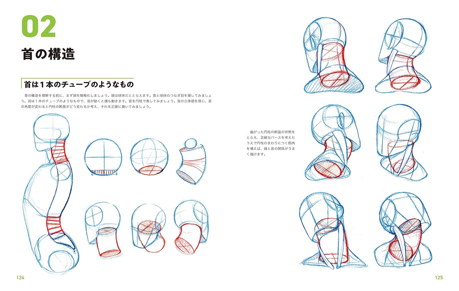 Master Guide to Drawing the Human Body – Character Drawing from the Basics #1434
