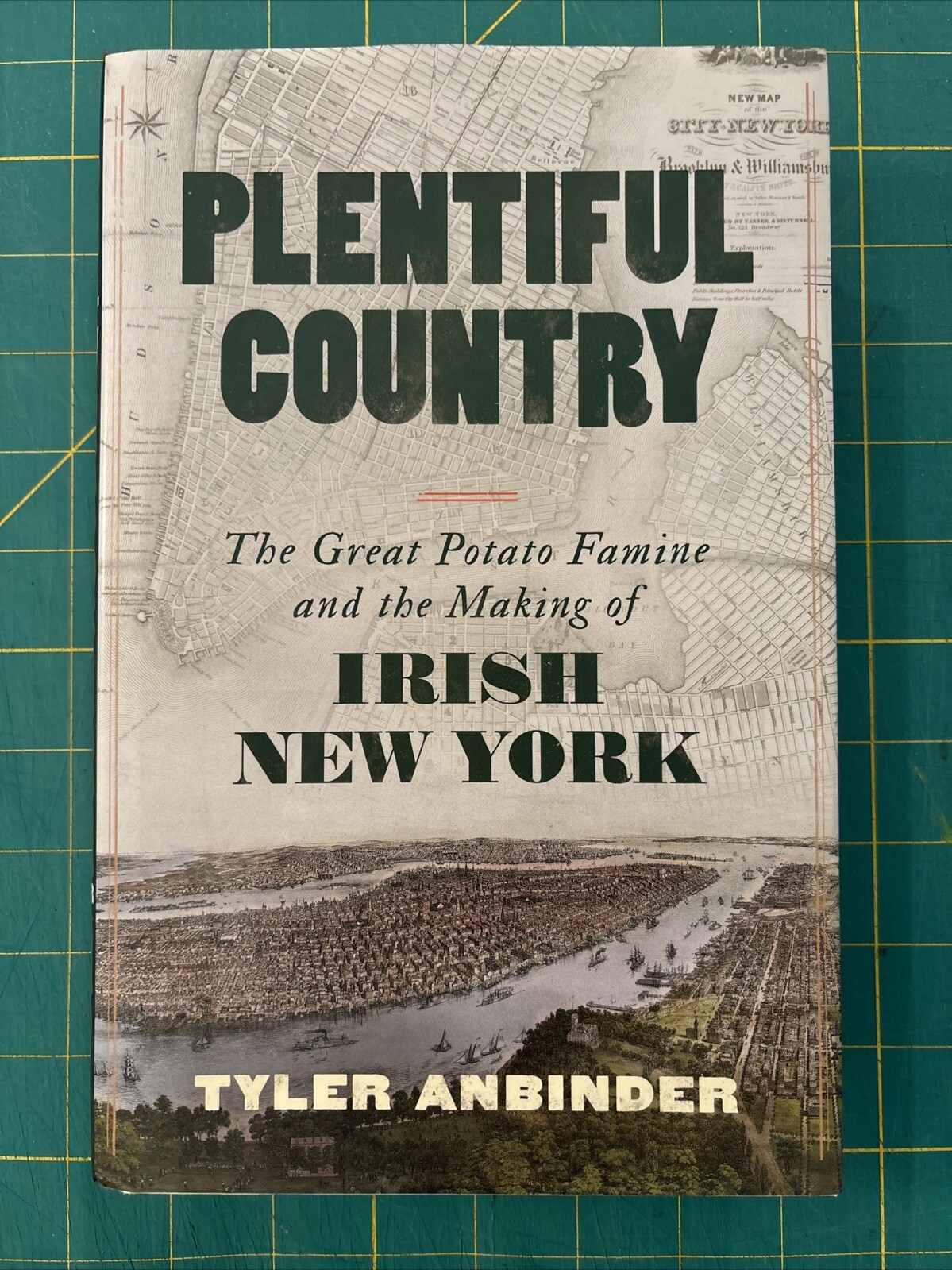 Plentiful Country : The Great Potato Famine and the Making of Irish New York HC