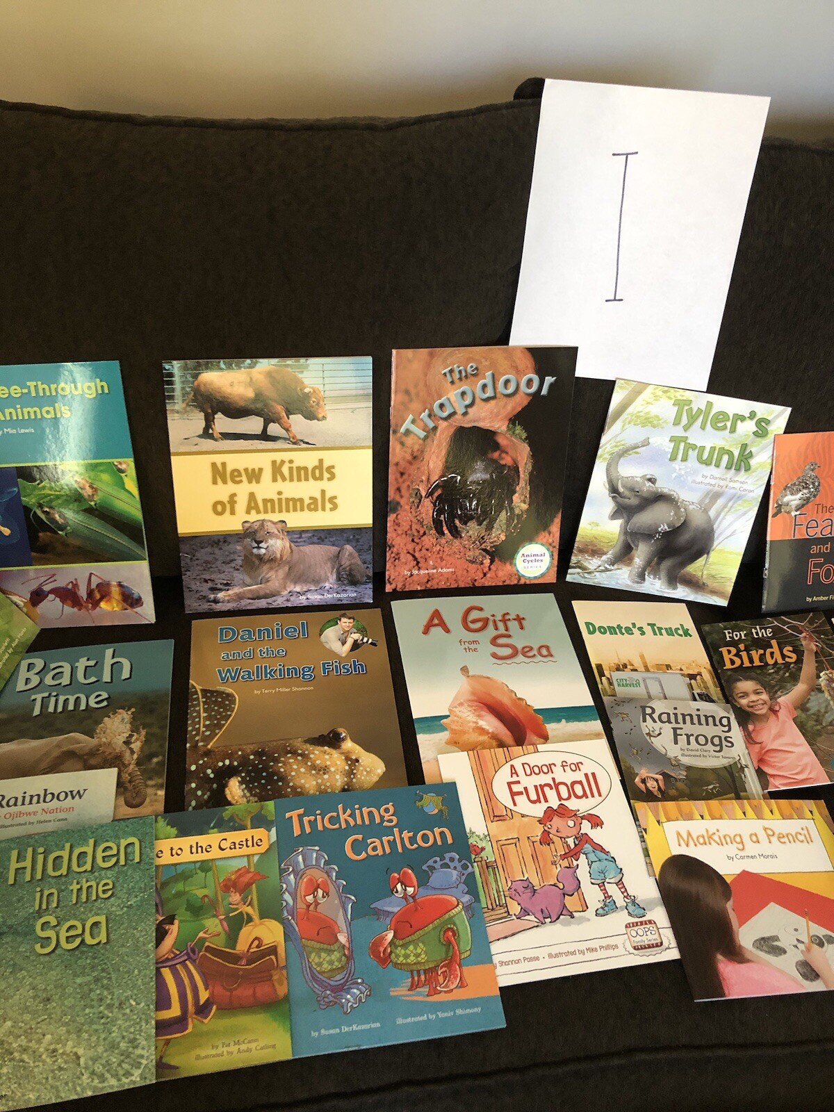 First Grade Reading Books — HOME SCHOOL — Grade 1 Like New 10 Different $15