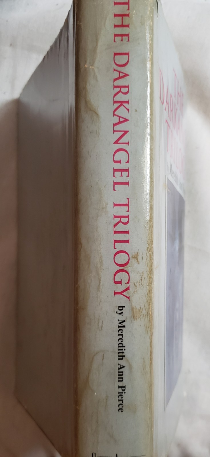 The Darkangel Trilogy by Meredith Ann Pierce HCDJ Guild America Books 1990 p471