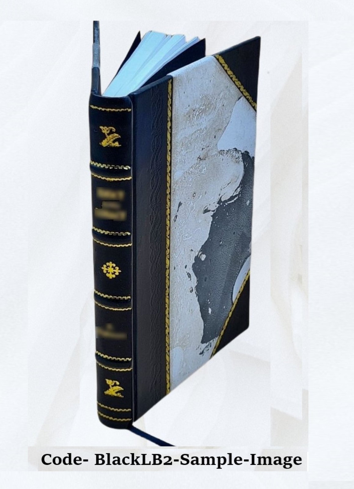 Actinida. Bd. 5,[2] 1890 by Danielssen, D. C. [Leather Bound]