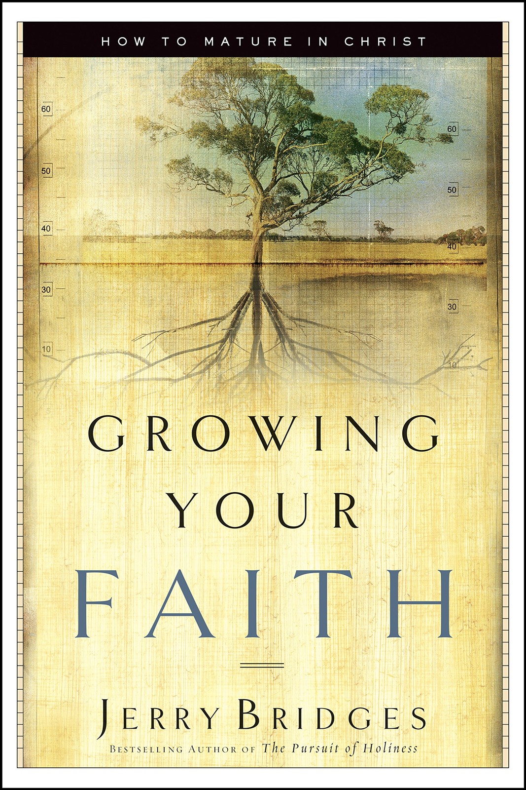 Growing Your Faith: How to Mature in Christ – Bridges, Jerry – Good – See co…