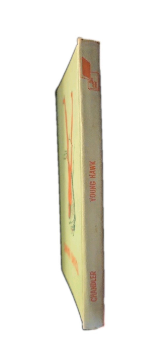 Vintage Hardcover Young Hawk Native American Edna Walker Chandler