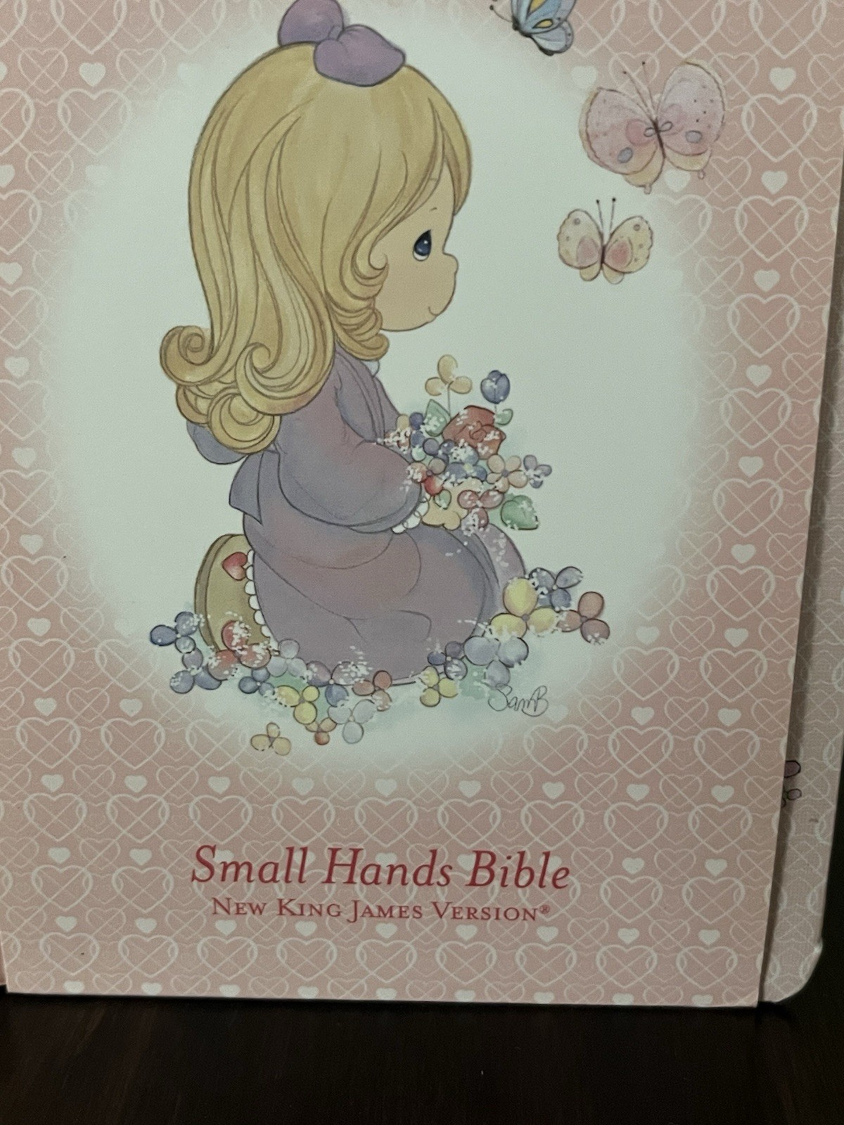 Small Hands Holy Bible by Thomas Nelson Publishing Staff Hard Cover