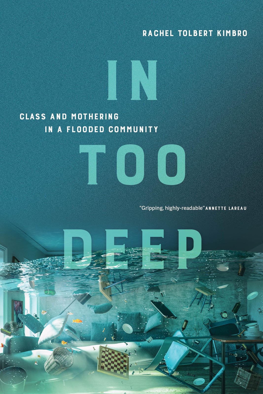 In Too Deep: Class and Mothering in a Flooded Community – paperback Kimbro, …