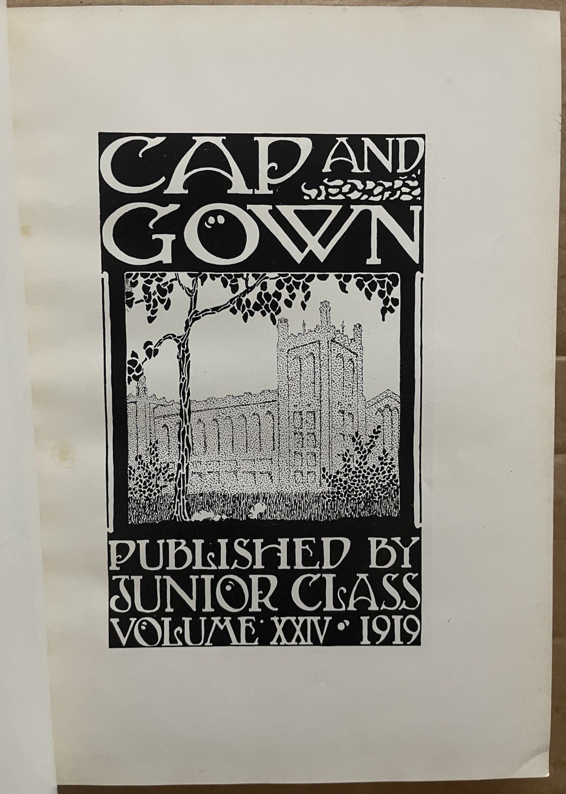 1919 UNIVERSITY OF CHICAGO COLLEGE YEARBOOK, THE CAP AND GOWN, CHICAGO, IL
