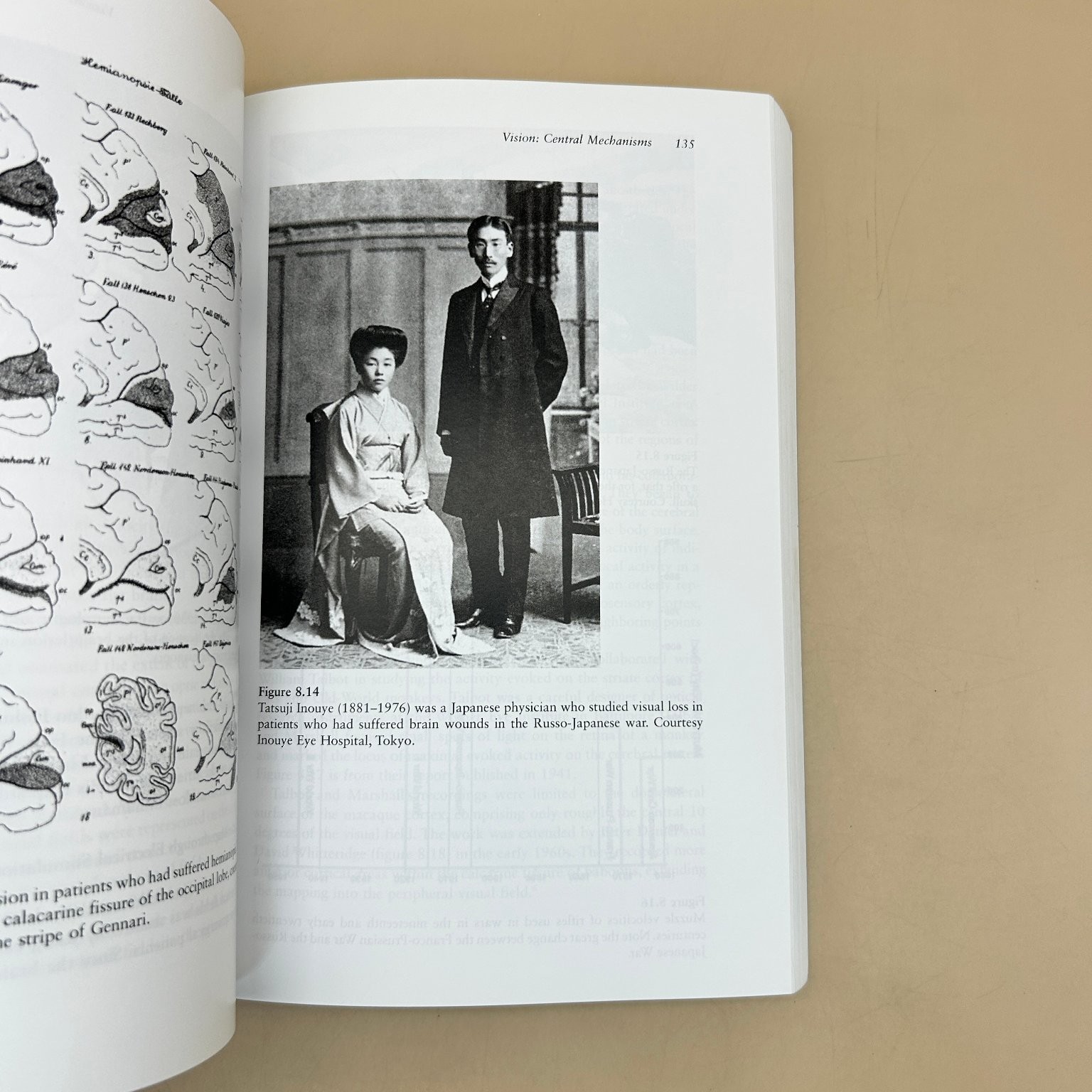 Neuroscience Historical Introduction Glickstein 2017 MIT Press Paperback
