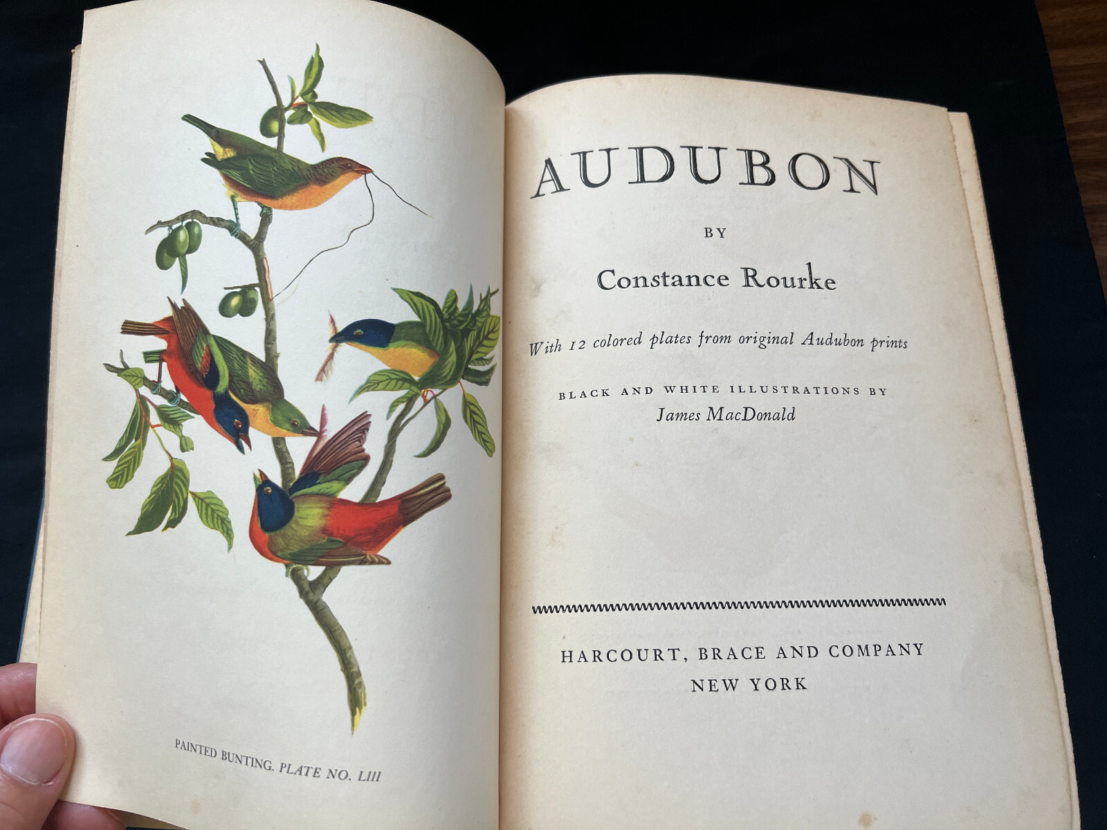 Audubon by Constance Rourke Hardcover Book Harcourt, Brace and Company – 1936