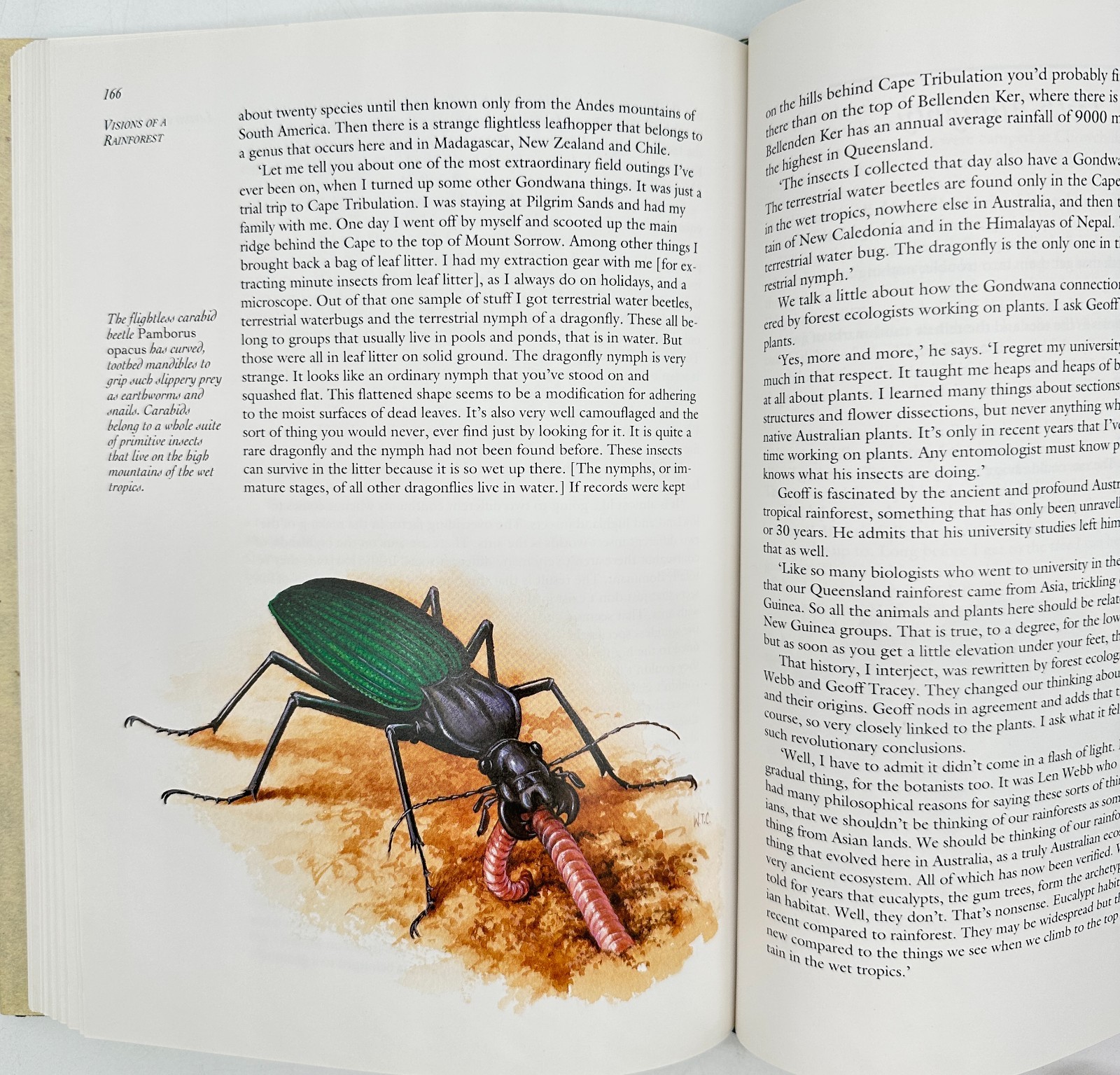 Visions of a Rainforest Breeden and Cooper HC A Year in Australia’s Tropics