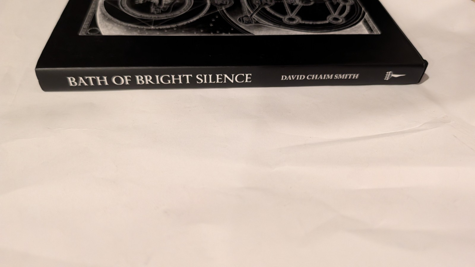 Bath of Bright Silence by David Chaim Smith Lightning Flash of Alef V.2 LIKE NEW