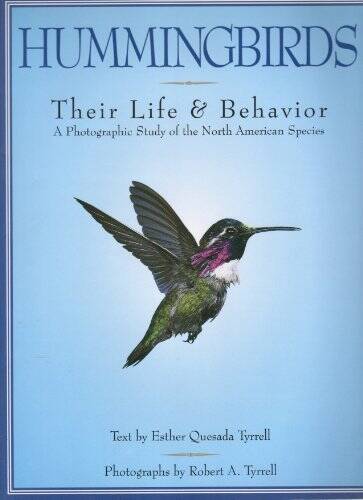 Hummingbirds: Their Life and Behavior – Paperback – GOOD
