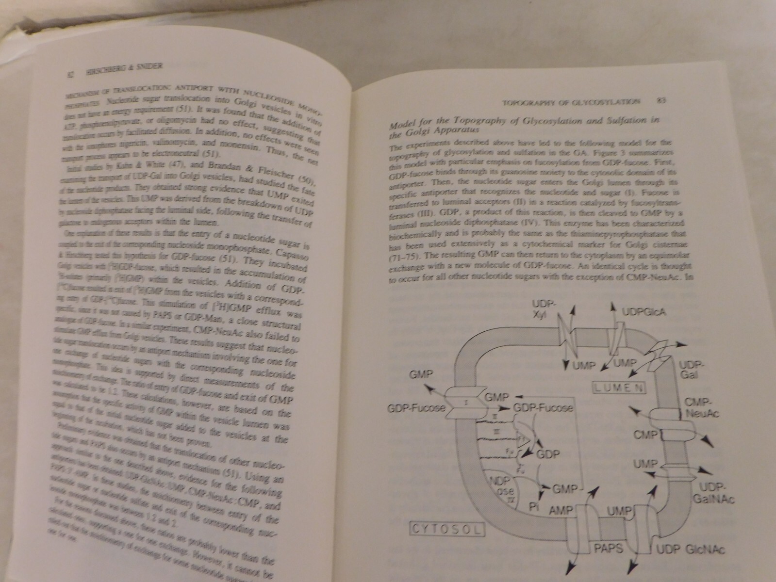Annual Review of Biochemistry Volume 56, 1987, Richardson et al, eds, hc