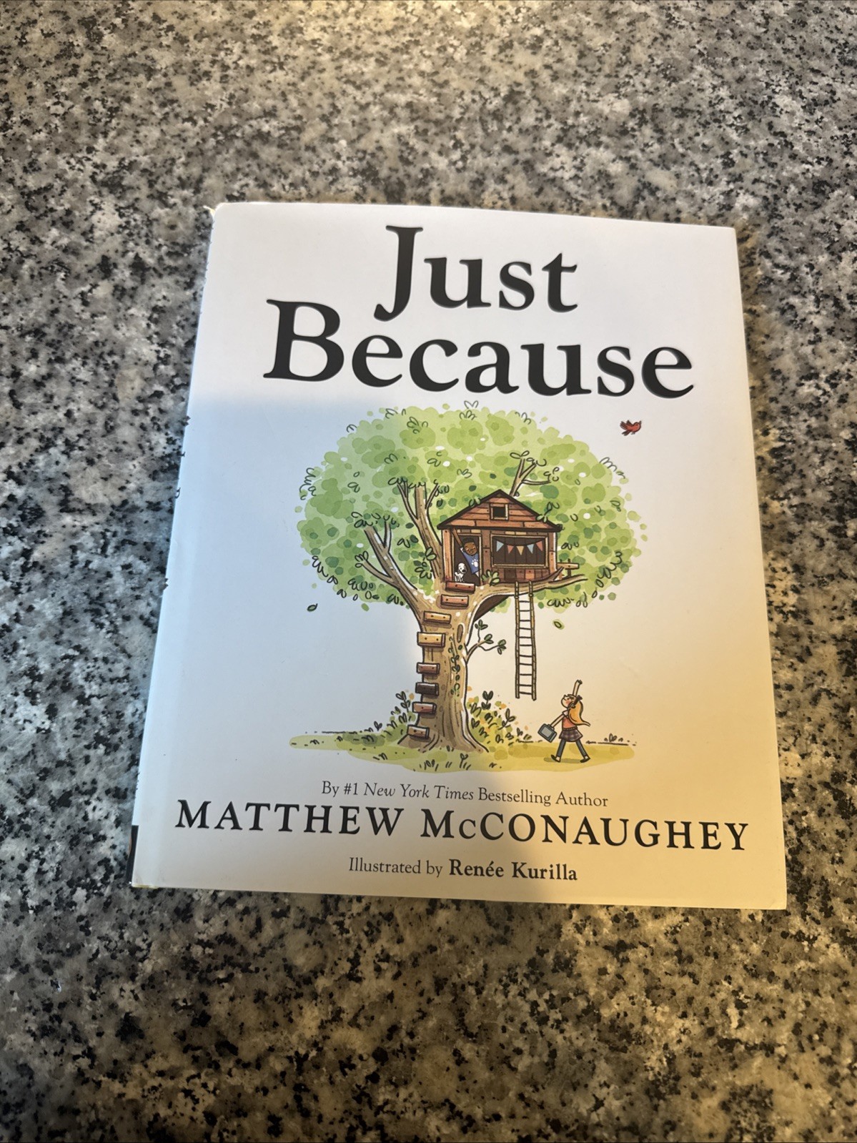 Just Because by Matthew McConaughey Illustrated by Renée Kurilla