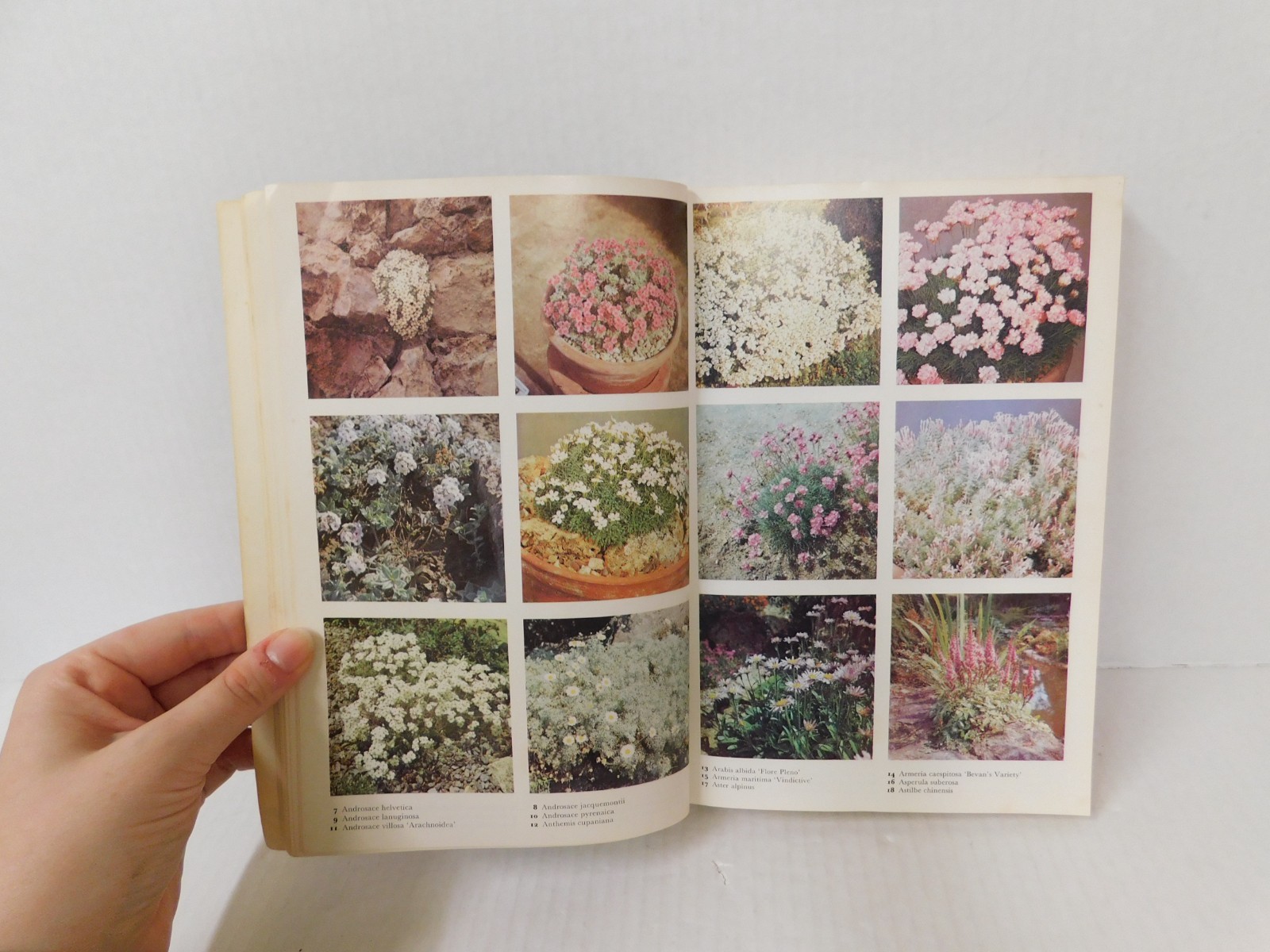 The Color Dictionary of Flowers & Plants by Roy Hay & P.Synge 1984 Paperback